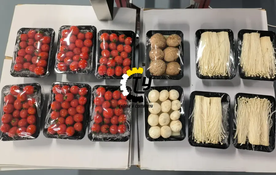 Máy Đóng Gói Màng Bảo Quản Tốc Độ Cao