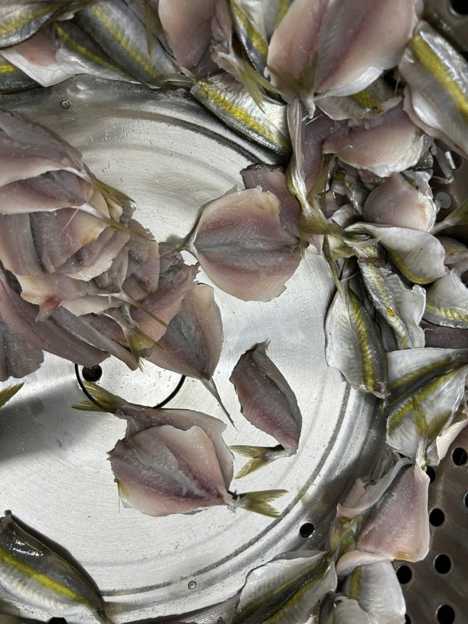 Máy Ly Tâm Tách Nước Nhỏ TY-TAXB201