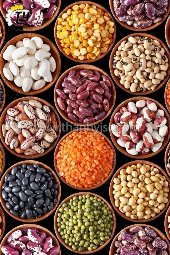 Máy Sấy Vi Sóng Hút Chân Không TY-VS15S