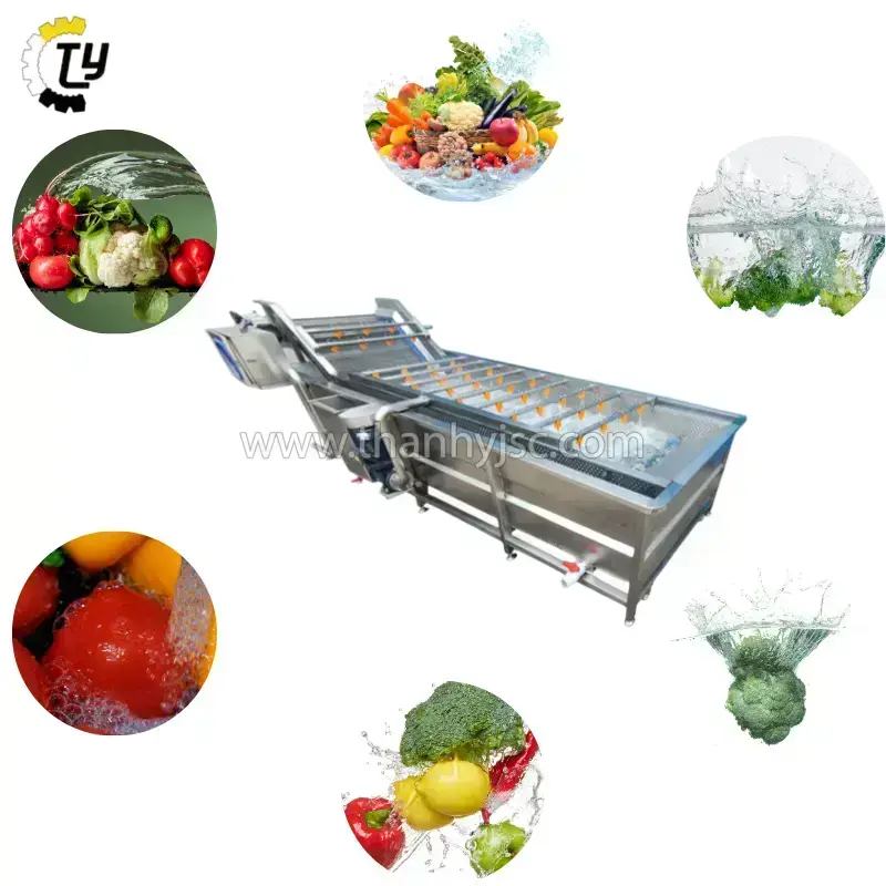 Máy Sục Rửa Băng Tải Có Nâng Hạ 800Kg - WM800