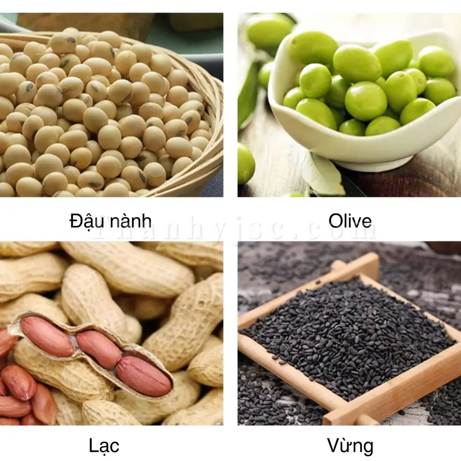 Máy Ép Dầu Thực Vật 15 Kg/H