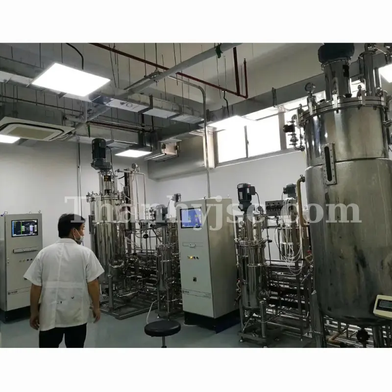 Thành Ý Bàn Giao Và Lắp Đặt Hệ Thống 6 Nồi Lên Men 2000L Tại Sóc Trăng
