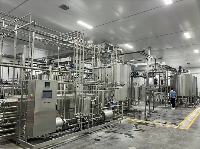 Bàn Giao Và Lắp Đặt Dây Chuyền Sản Xuất Café Tại Công Ty Fine Robusta Đắk Nông