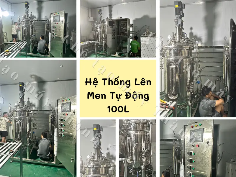 Hệ Thống Lên Men Tự Động 100L – Giải Pháp Kiểm Soát Toàn Diện Cho Quá Trình Nuôi Cấy Vi Sinh