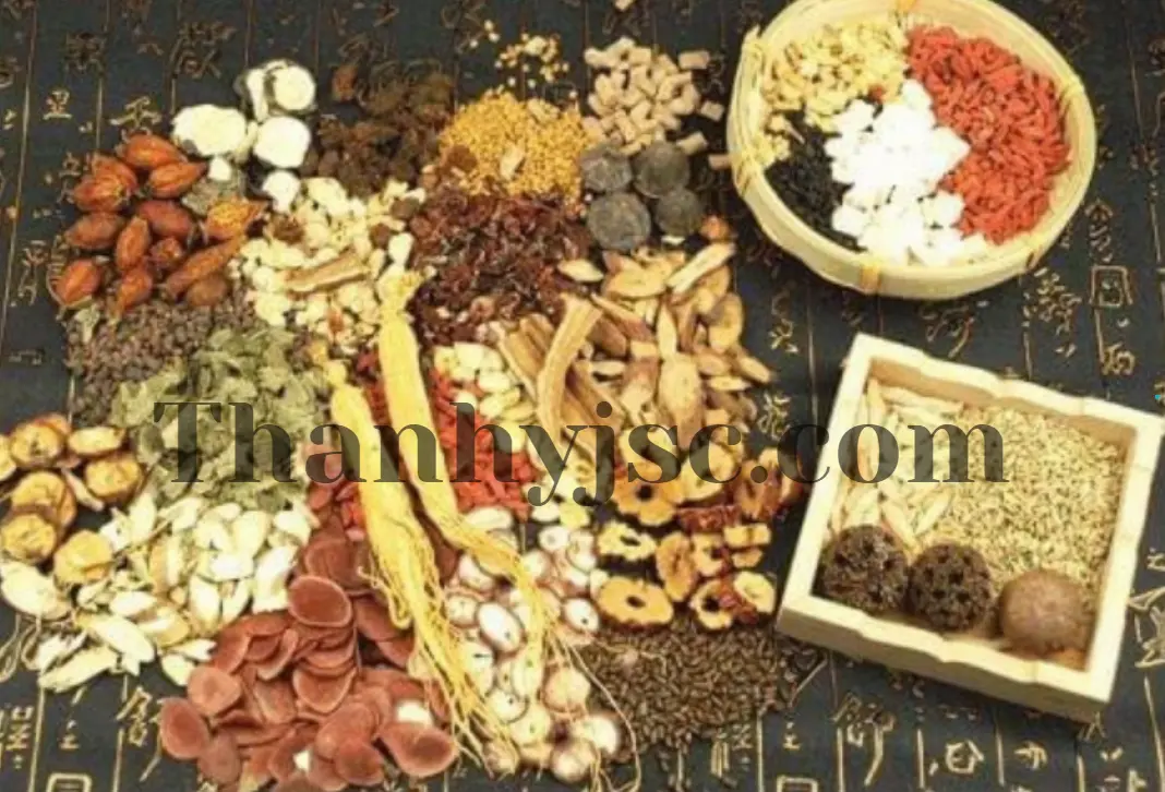 Quy Trình Sấy Khô Dược Liệu Bằng Tủ Sấy Nhiệt